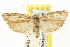 ( - CCDB-15740-G07)  @11 [ ] CreativeCommons - Attribution (2011) ANIC/CBG Photography Group Centre for Biodiversity Genomics