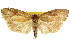  ( - CCDB-15741-E12)  @14 [ ] CreativeCommons - Attribution (2011) ANIC/CBG Photography Group Centre for Biodiversity Genomics