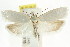  ( - CCDB-15743-F05)  @11 [ ] CreativeCommons - Attribution (2011) ANIC/CBG Photography Group Centre for Biodiversity Genomics