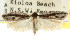  ( - CCDB-15749-F05)  @12 [ ] CreativeCommons - Attribution (2011) ANIC/CBG Photography Group Centre for Biodiversity Genomics