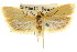  ( - CCDB-15749-F08)  @14 [ ] CreativeCommons - Attribution (2011) ANIC/CBG Photography Group Centre for Biodiversity Genomics