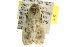  ( - CCDB-15750-F12)  @12 [ ] CreativeCommons - Attribution (2011) ANIC/CBG Photography Group Centre for Biodiversity Genomics