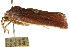  ( - CCDB-15750-G06)  @12 [ ] CreativeCommons - Attribution (2011) ANIC/CBG Photography Group Centre for Biodiversity Genomics