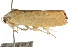  ( - CCDB-15750-G07)  @12 [ ] CreativeCommons - Attribution (2011) ANIC/CBG Photography Group Centre for Biodiversity Genomics