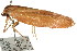  ( - CCDB-15750-H02)  @13 [ ] CreativeCommons - Attribution (2011) ANIC/CBG Photography Group Centre for Biodiversity Genomics