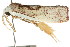  ( - CCDB-15751-B05)  @12 [ ] CreativeCommons - Attribution (2011) ANIC/CBG Photography Group Centre for Biodiversity Genomics