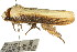  ( - CCDB-15751-B12)  @12 [ ] CreativeCommons - Attribution (2011) ANIC/CBG Photography Group Centre for Biodiversity Genomics