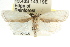  ( - CCDB-15751-D07)  @13 [ ] CreativeCommons - Attribution (2011) ANIC/CBG Photography Group Centre for Biodiversity Genomics