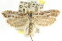  ( - CCDB-15751-H04)  @14 [ ] CreativeCommons - Attribution (2011) ANIC/CBG Photography Group Centre for Biodiversity Genomics