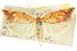  ( - CCDB-15753-H05)  @11 [ ] CreativeCommons - Attribution (2011) ANIC/CBG Photography Group Centre for Biodiversity Genomics