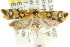  ( - CCDB-15756-H01)  @11 [ ] CreativeCommons - Attribution (2011) ANIC/CBG Photography Group Centre for Biodiversity Genomics