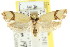  ( - CCDB-15757-H05)  @11 [ ] CreativeCommons - Attribution (2011) ANIC/CBG Photography Group Centre for Biodiversity Genomics