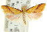  ( - CCDB-15760-G12)  @11 [ ] CreativeCommons - Attribution (2011) ANIC/CBG Photography Group Centre for Biodiversity Genomics