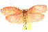  ( - CCDB-15762-E11)  @11 [ ] CreativeCommons - Attribution (2011) ANIC/CBG Photography Group Centre for Biodiversity Genomics