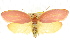  ( - CCDB-15762-E12)  @15 [ ] CreativeCommons - Attribution (2011) ANIC/CBG Photography Group Centre for Biodiversity Genomics