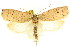  ( - CCDB-15764-B12)  @13 [ ] CreativeCommons - Attribution (2011) ANIC/CBG Photography Group Centre for Biodiversity Genomics