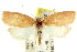  ( - CCDB-15764-G07)  @13 [ ] CreativeCommons - Attribution (2011) ANIC/CBG Photography Group Centre for Biodiversity Genomics