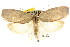  ( - CCDB-15764-H11)  @14 [ ] CreativeCommons - Attribution (2011) ANIC/CBG Photography Group Centre for Biodiversity Genomics