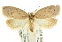  ( - CCDB-15771-D07)  @11 [ ] CreativeCommons - Attribution (2011) ANIC/CBG Photography Group Centre for Biodiversity Genomics