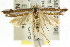  ( - CCDB-15776-E02)  @11 [ ] CreativeCommons - Attribution (2011) ANIC/CBG Photography Group Centre for Biodiversity Genomics