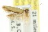  ( - CCDB-15777-C01)  @11 [ ] CreativeCommons - Attribution (2011) ANIC/CBG Photography Group Centre for Biodiversity Genomics