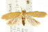  ( - CCDB-15781-C11)  @12 [ ] CreativeCommons - Attribution (2011) ANIC/CBG Photography Group Centre for Biodiversity Genomics
