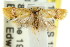  ( - CCDB-15789-D09)  @13 [ ] CreativeCommons - Attribution (2011) ANIC/CBG Photography Group Centre for Biodiversity Genomics