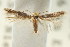  ( - CCDB-15791-G01)  @11 [ ] CreativeCommons - Attribution (2011) ANIC/CBG Photography Group Centre for Biodiversity Genomics