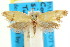  ( - CCDB-15792-D01)  @11 [ ] CreativeCommons - Attribution (2011) ANIC/CBG Photography Group Centre for Biodiversity Genomics