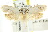  ( - CCDB-15793-F09)  @14 [ ] CreativeCommons - Attribution (2011) ANIC/CBG Photography Group Centre for Biodiversity Genomics