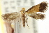  ( - CCDB-15794-G01)  @11 [ ] CreativeCommons - Attribution (2011) ANIC/CBG Photography Group Centre for Biodiversity Genomics