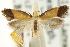  ( - CCDB-15794-G02)  @11 [ ] CreativeCommons - Attribution (2011) ANIC/CBG Photography Group Centre for Biodiversity Genomics