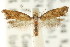  ( - CCDB-15794-G09)  @11 [ ] CreativeCommons - Attribution (2011) ANIC/CBG Photography Group Centre for Biodiversity Genomics