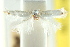  ( - CCDB-15799-E01)  @11 [ ] CreativeCommons - Attribution (2011) ANIC/CBG Photography Group Centre for Biodiversity Genomics