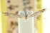  ( - CCDB-15799-E10)  @11 [ ] CreativeCommons - Attribution (2011) ANIC/CBG Photography Group Centre for Biodiversity Genomics