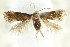  ( - CCDB-15803-H06)  @11 [ ] CreativeCommons - Attribution (2011) ANIC/CBG Photography Group Centre for Biodiversity Genomics