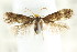  ( - CCDB-15803-H07)  @11 [ ] CreativeCommons - Attribution (2011) ANIC/CBG Photography Group Centre for Biodiversity Genomics