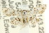  ( - CCDB-15805-B04)  @11 [ ] CreativeCommons - Attribution (2011) ANIC/CBG Photography Group Centre for Biodiversity Genomics