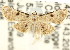  ( - CCDB-15805-C01)  @11 [ ] CreativeCommons - Attribution (2011) ANIC/CBG Photography Group Centre for Biodiversity Genomics