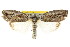  ( - CCDB-15812-C11)  @11 [ ] CreativeCommons - Attribution (2011) ANIC/CBG Photography Group Centre for Biodiversity Genomics