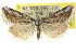  ( - CCDB-15812-H05)  @11 [ ] CreativeCommons - Attribution (2011) ANIC/CBG Photography Group Centre for Biodiversity Genomics