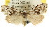  ( - CCDB-15815-B10)  @14 [ ] CreativeCommons - Attribution (2011) ANIC/CBG Photography Group Centre for Biodiversity Genomics