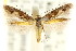  ( - CCDB-15818-A12)  @15 [ ] CreativeCommons - Attribution (2011) ANIC/CBG Photography Group Centre for Biodiversity Genomics