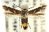  ( - CCDB-15818-C10)  @11 [ ] CreativeCommons - Attribution (2011) ANIC/CBG Photography Group Centre for Biodiversity Genomics