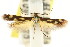  ( - CCDB-15818-D03)  @11 [ ] CreativeCommons - Attribution (2011) ANIC/CBG Photography Group Centre for Biodiversity Genomics