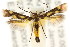  ( - CCDB-15818-D08)  @13 [ ] CreativeCommons - Attribution (2011) ANIC/CBG Photography Group Centre for Biodiversity Genomics