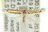  ( - CCDB-15820-E06)  @11 [ ] CreativeCommons - Attribution (2011) ANIC/CBG Photography Group Centre for Biodiversity Genomics