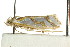  ( - CCDB-15820-F02)  @11 [ ] CreativeCommons - Attribution (2011) ANIC/CBG Photography Group Centre for Biodiversity Genomics