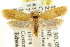  ( - CCDB-15821-H09)  @11 [ ] CreativeCommons - Attribution (2011) ANIC/CBG Photography Group Centre for Biodiversity Genomics