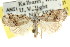  ( - CCDB-15823-A01)  @11 [ ] CreativeCommons - Attribution (2011) ANIC/CBG Photography Group Centre for Biodiversity Genomics